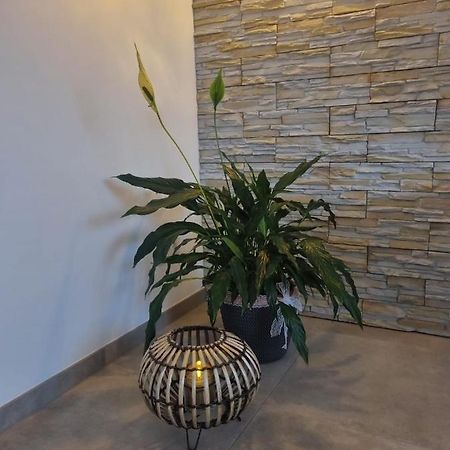 Wellness Ferienhaus Mechernich Exteriör bild