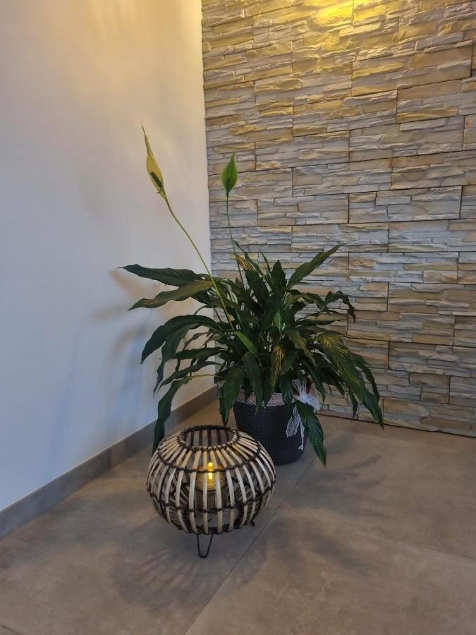 Wellness Ferienhaus Mechernich Exteriör bild